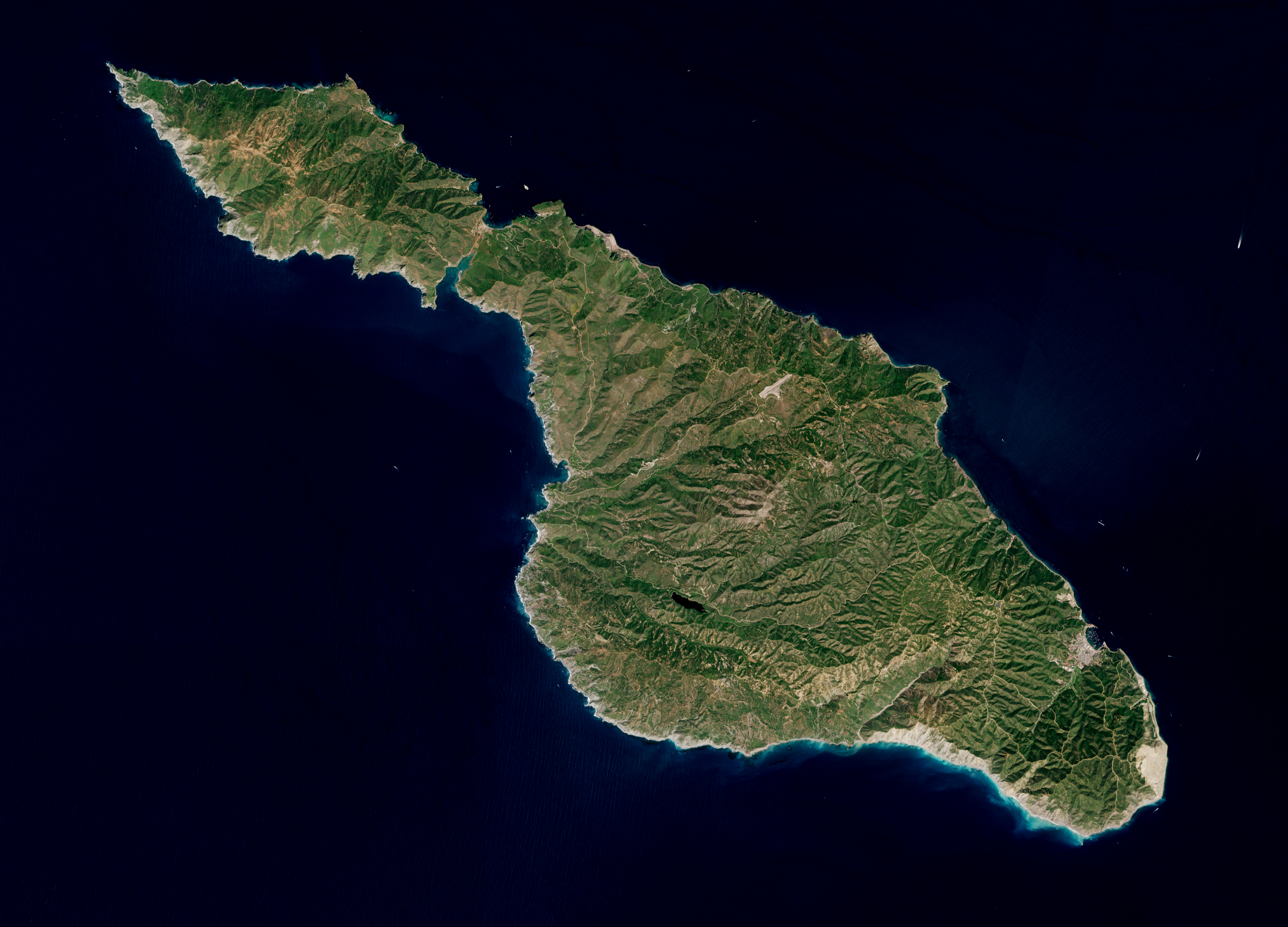 Santa_Catalina_Island_(California)_by_Sentinel-2,_2019-03-30